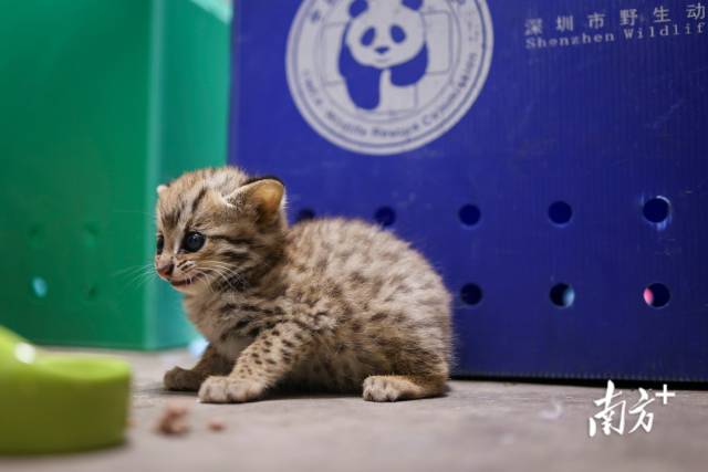 時尚服裝大牌圖片女生（時尚服裝圖片女裝圖片2020）