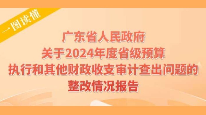 一图读懂｜广东省人民政府关于2024年度省级预算执行和其他财政收支审计查出问题的整改情况报告