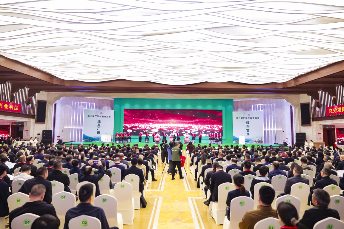 活动现场(通讯员供图)