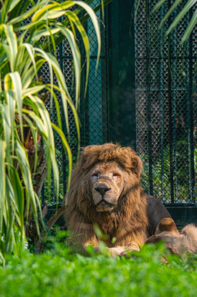 平日的阿杭 平日的阿杭