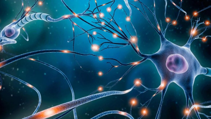 对神经系统、泌尿系统和呼吸系统项目及拟定价格，广东公开征求意见