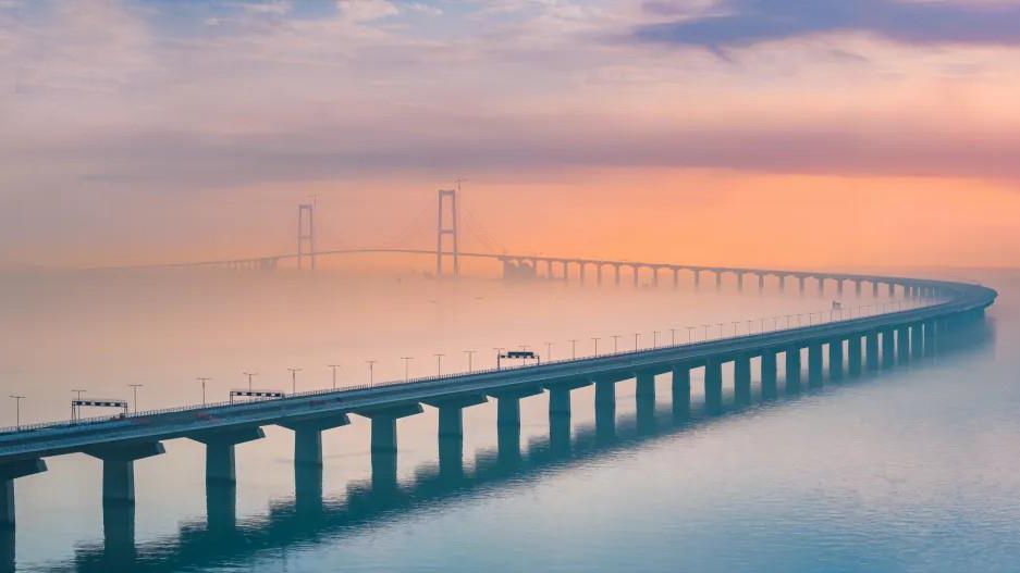 提升志愿服务效能 共建共享美好社会