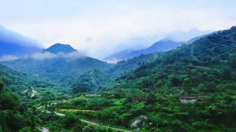 聚焦“百千万工程”丨新兴里洞镇：抓好项目建设 实现镇域经济提质增效