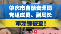 肇庆市自然资源局党组成员、副局长邓泽锋被查！