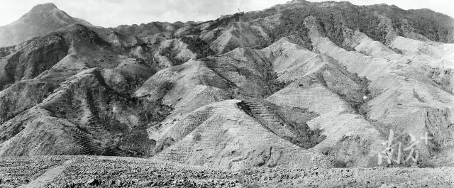 20世纪70年代初，岳山林场因过度砍伐生态破坏严重，自然灾害频发。资料图片