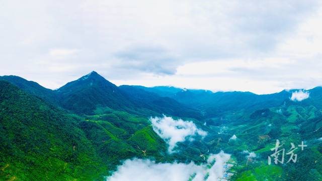 　　如今，三岳省级自然保护区（前身为岳山林场）总面积达10.84万亩，成为肇庆生态文明建设的样板。梁恒志 摄