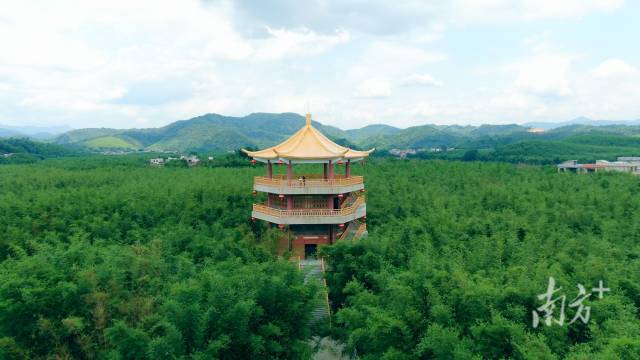 广宁竹海国家森林公园。资料图片