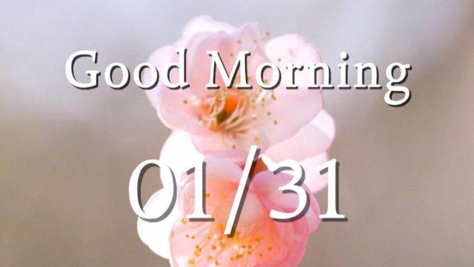 Sunlight lingers where subtle scents bloom in the air