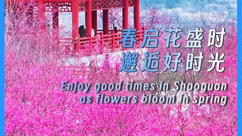 Enjoy good times in Shaoguan as flowers bloom in spring