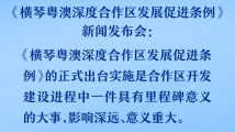 从春天出发｜登高壮怀，广东以大平台托举发展大机遇