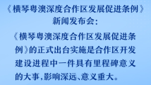 从春天出发|登高壮怀,广东以大平台托举发展大机遇 从春天出发|登高壮怀,广东以大平台托举发展大机遇