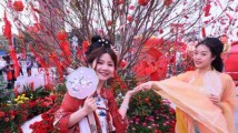 花城过年,花香满城 花城过年,花香满城