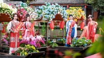 岭南“最传统”，广府“最年味”，都在荔湾花市里！