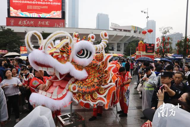 2月4日，天河花市开锣，当天下午，在体育中心南广场精彩的舞狮表演，吸引了众多市民游客。