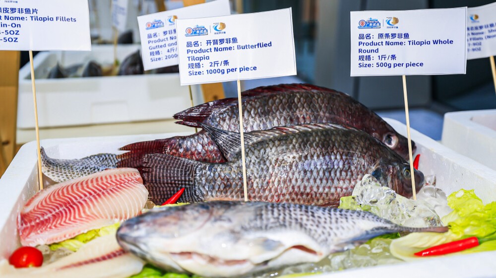 Maoming tilapia secures nearly 10 million USD intended transactions at Canton Fair