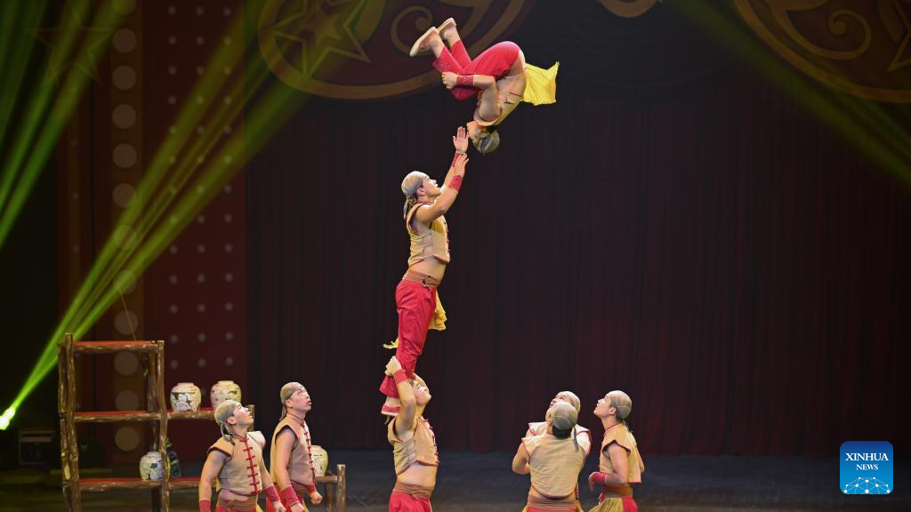8th China Int'l Circus Festival held in Hengqin, S China's Guangdong