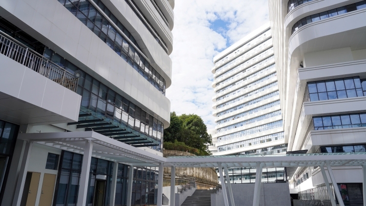 广州：到2030年，力争建成40个重大疑难（罕见）疾病诊疗中心