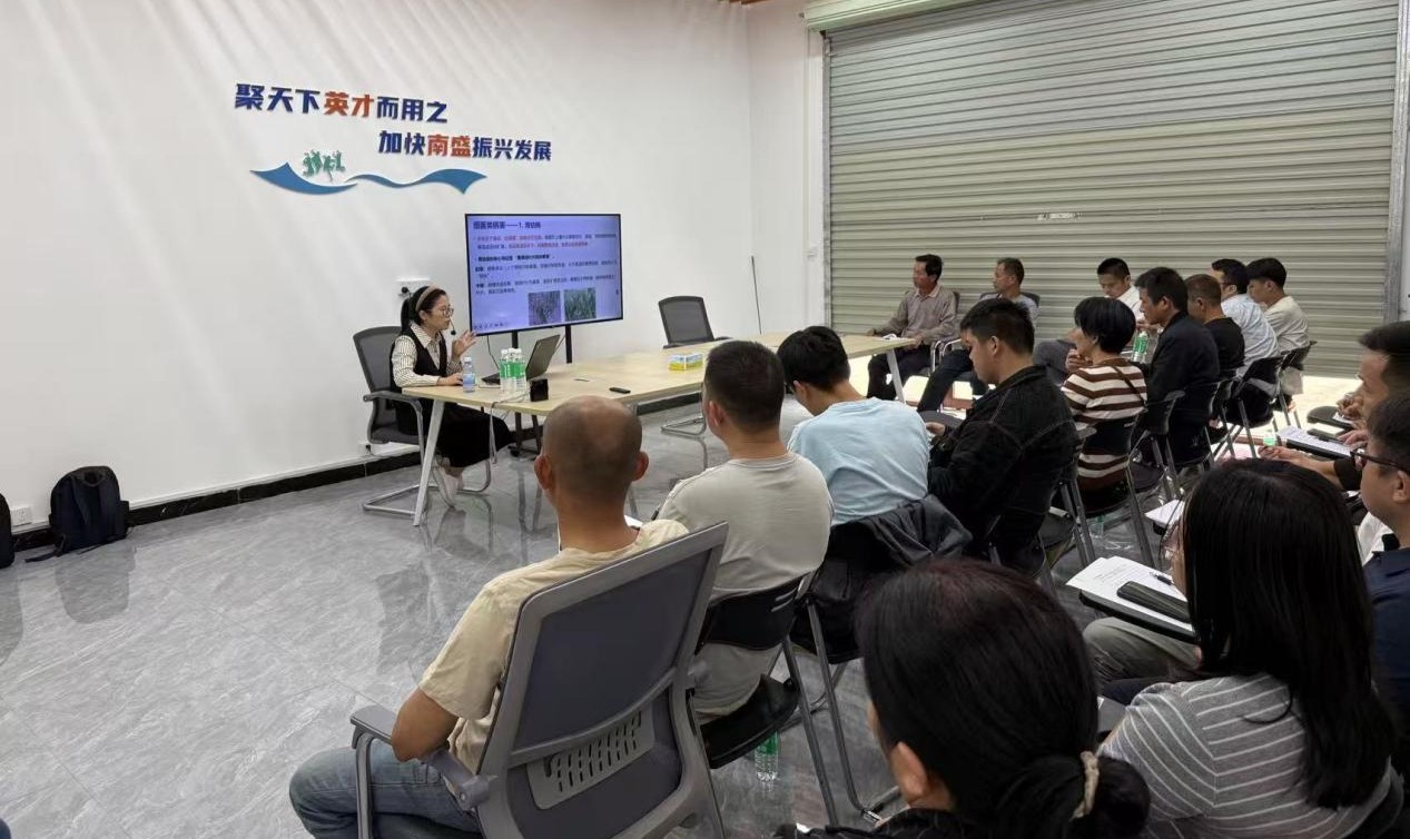 云城区南盛镇：从课堂到田间，为青年创客播下“致富种”