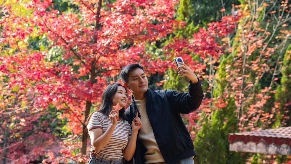 Autumn scenery across China