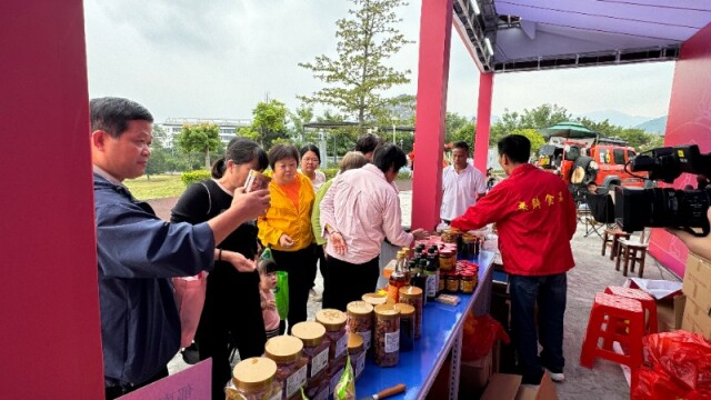 十五运会云浮赛区非遗和特产展示促消费活动启幕