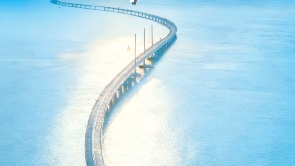 2025 GBA Investment Promotion Conference opens today