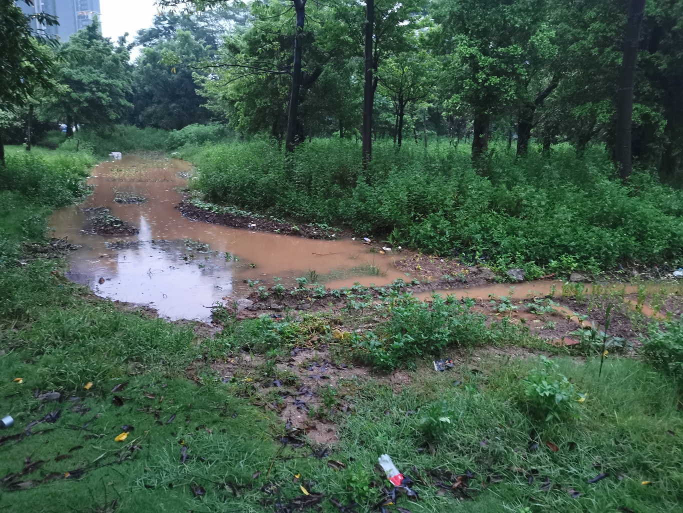 改造前 道路泥泞坑洼.jpg