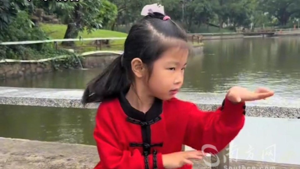 广东5岁萌娃表演洪拳“蛇引鹤”拳法，网友：前面，好可爱；后面，打不过
