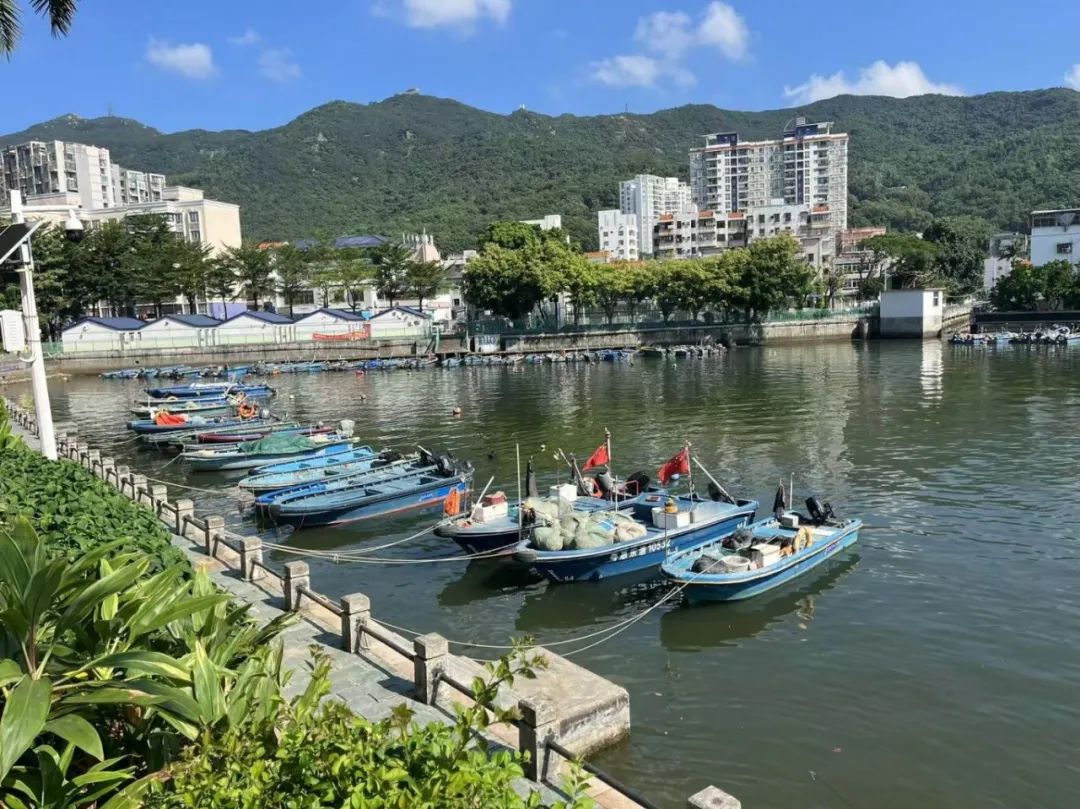 深圳渔船回港停泊。