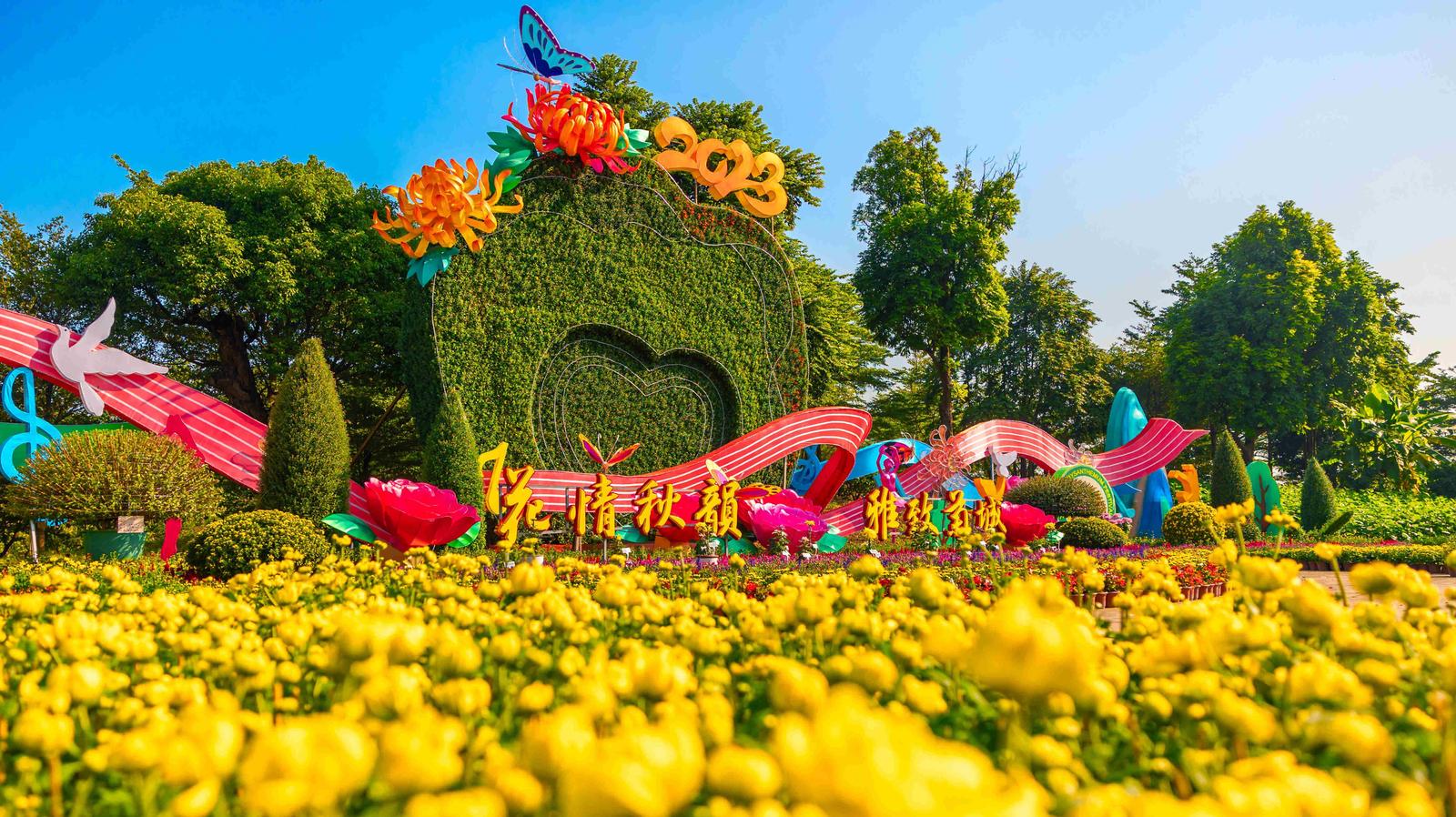 2024 Zhongshan Xiaolan Chrysanthemum Fair to open on November 29th