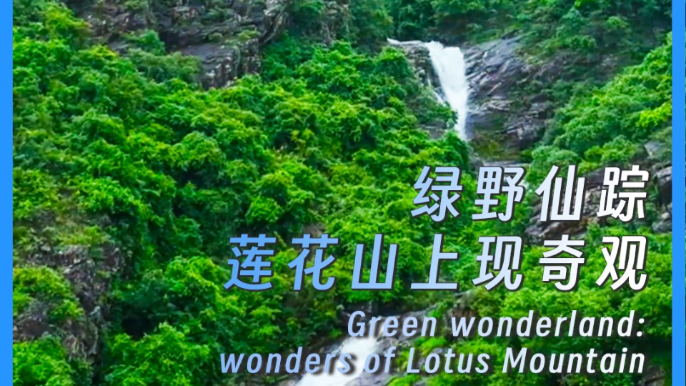 Green wonderland: wonders of Lotus Mountain