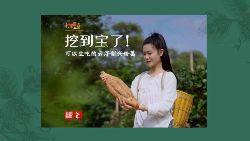 村里很甜｜挖到宝了！可以生吃的云浮新兴粉葛