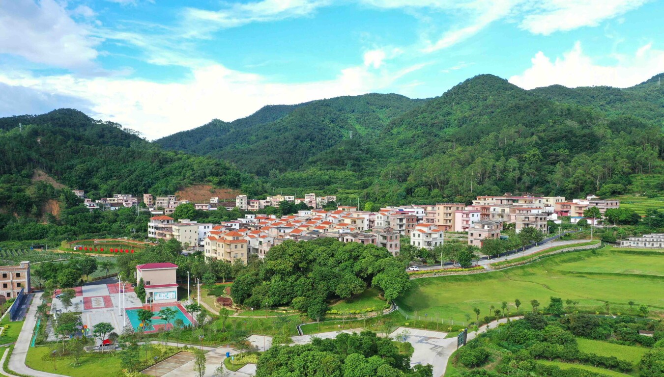 镇能量丨新兴六祖镇龙山塘村：建设富美乡村 共享美好生活