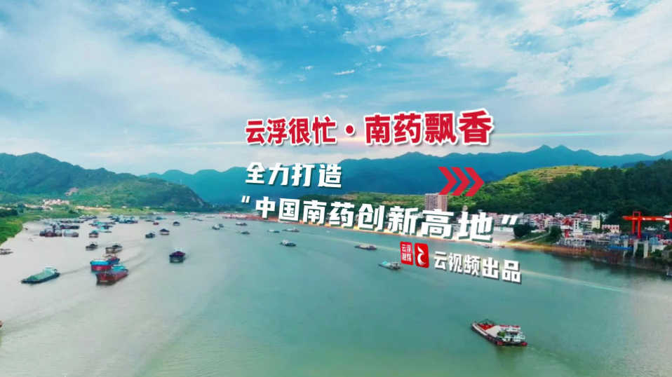云浮很忙·南药飘香｜中国南药创新高地看广东云浮