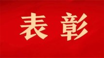 广东60个集体、100名个人获表扬,30个女职工创新工作室获授牌 广东60个集体、100名个人获表扬,30个女职工创新工作室获授牌