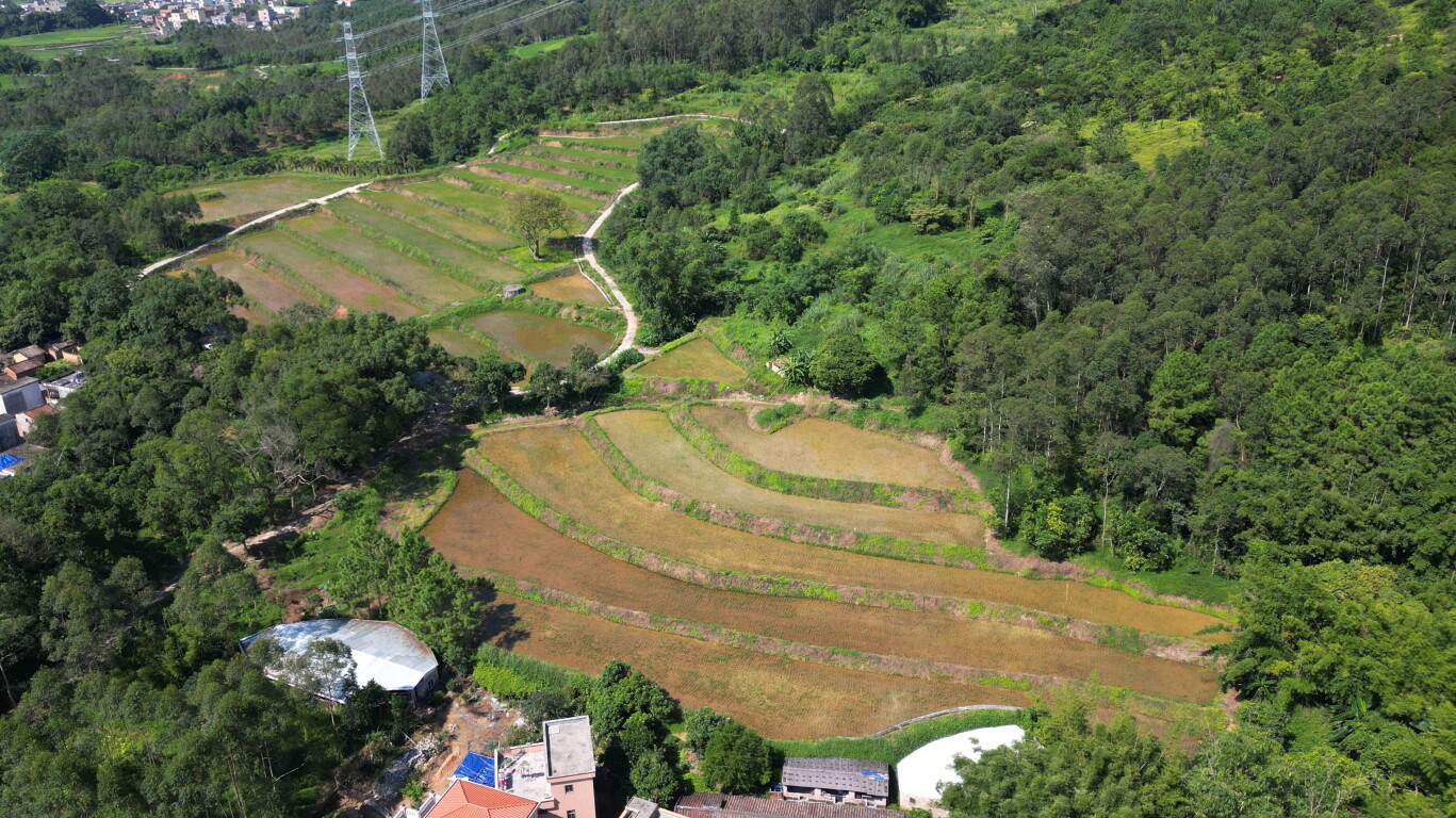 镇能量丨云城区思劳镇水田“坡改梯”蹚出致富路