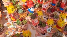这,就是陈村!“花shi”寻年味 这,就是陈村!“花shi”寻年味
