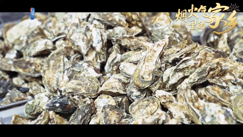 寻找海鲜市场的年味｜烟火气里的家乡