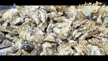寻找海鲜市场的年味|烟火气里的家乡 寻找海鲜市场的年味|烟火气里的家乡