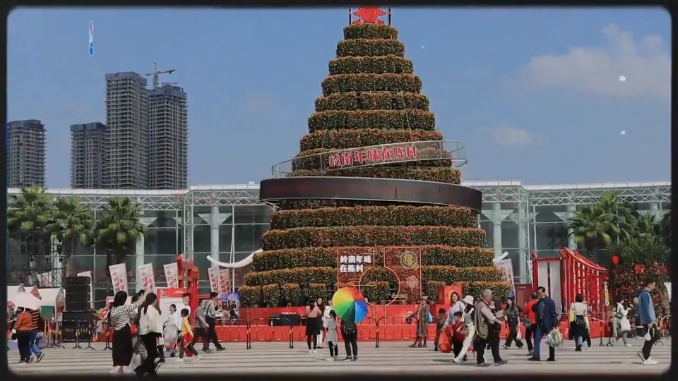 岭南年味在陈村，目之所及皆春天