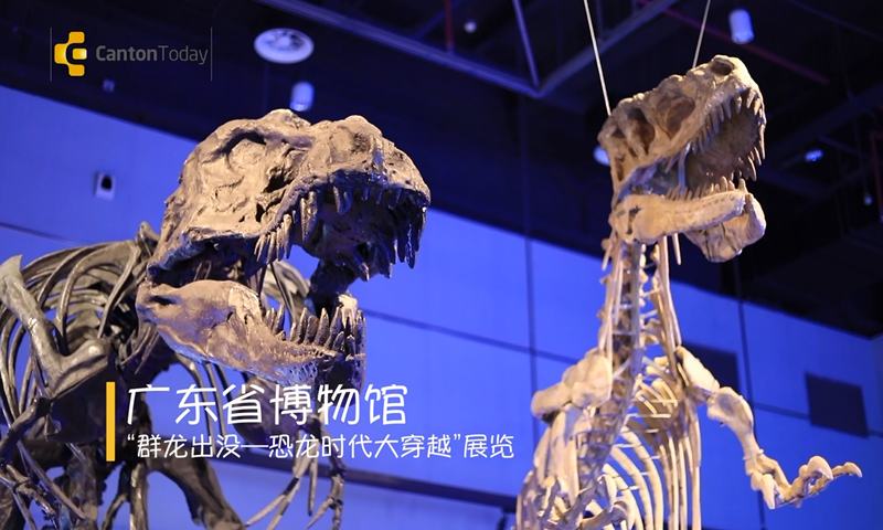 Let's go back to the dinosaur world!