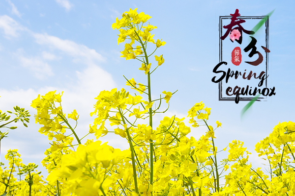 Spring Equinox: start with healthy Cantonese cuisine