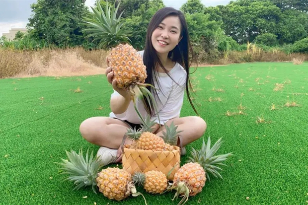 Various fruits waiting for you to pick in Guangdong this summer