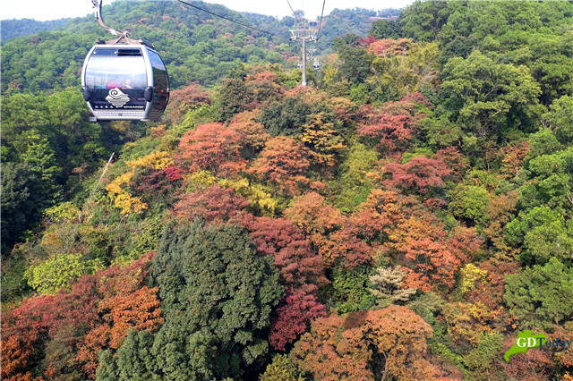Over 12,000 free tickets to GD's attractions available during CNY