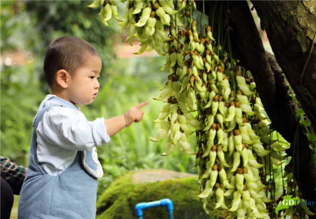 Ideal destinations to enjoy a forest oxygen bar trip in Guangzhou