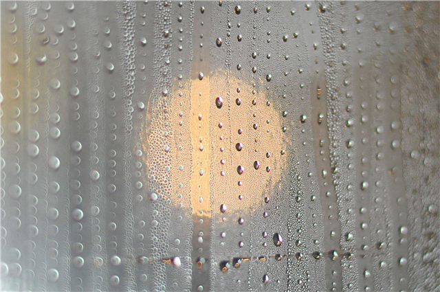 Cold wave to end humid weather this Sunday