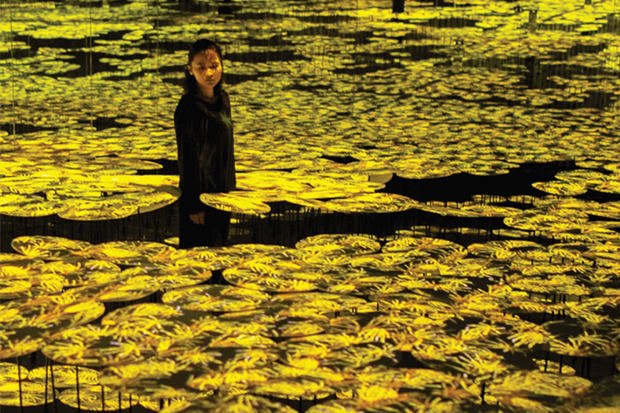 teamLab in Guangzhou from April to October