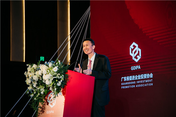Guangdong Investment Promotion Association vows to contribute to Greater Bay Area development