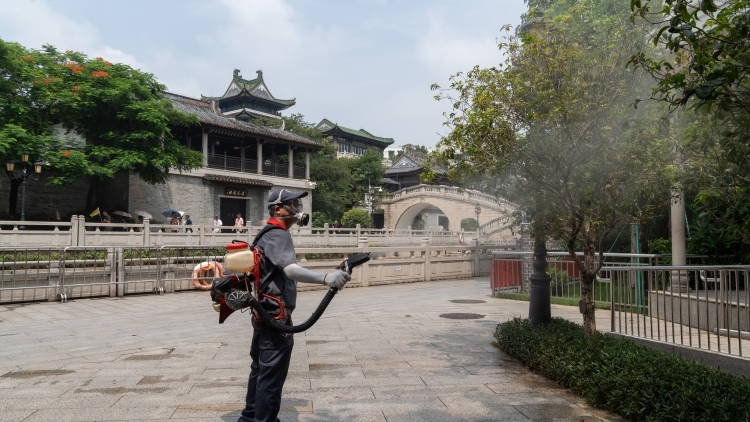 过去一周，广东新增报告178例基孔肯雅热本地个案