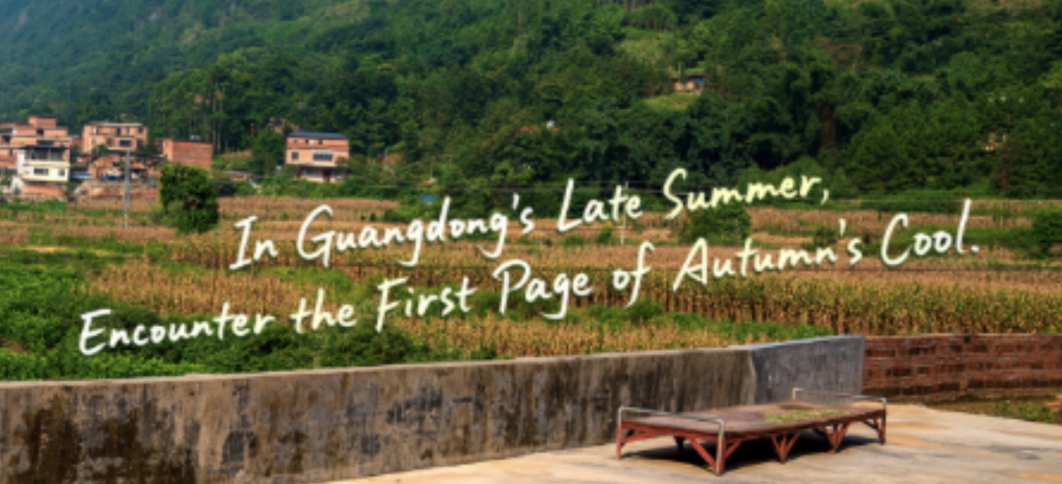 Weekly Highlights | In Guangdong's Late Summer, Encounter the First Page of Autumn's Cool