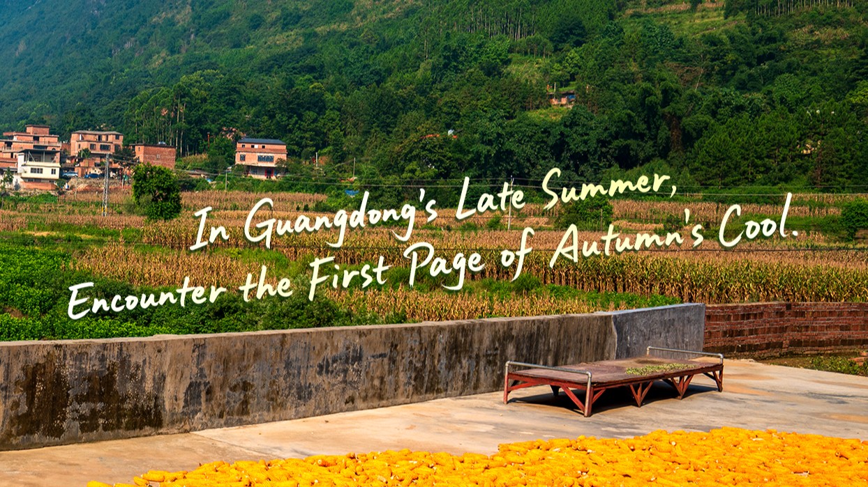 Weekly Highlights | In Guangdong's Late Summer, Encounter the First Page of Autumn's Cool